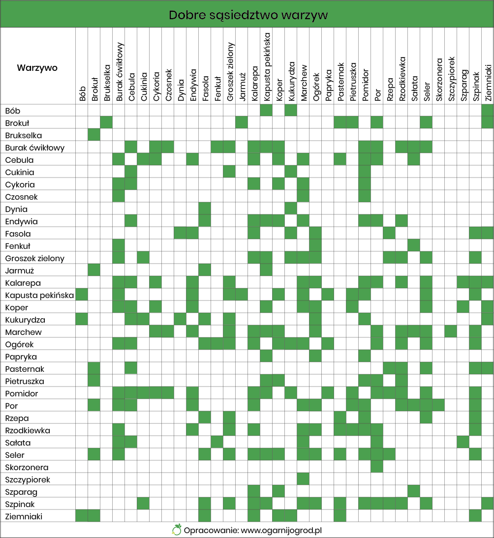 warzywa tabelka