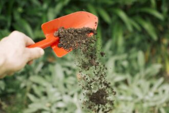 Jaka to jest żyzna gleba? Jak poprawić żyzność gleby? czym jest żyzna gleba