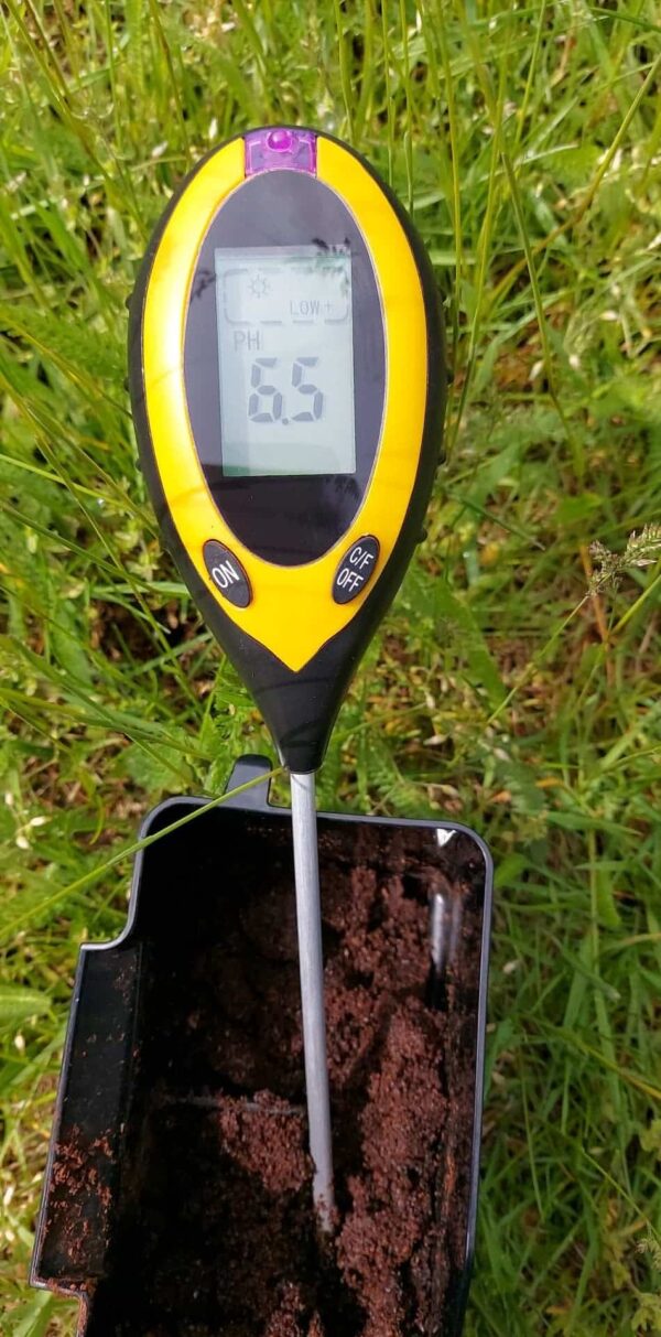 Fusy z kawy w roli nawozu pH fusów z kawy – nawóz z kawy