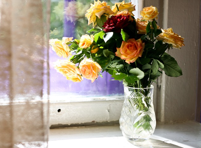 Co zrobić żeby róże dłużej stały w wazonie