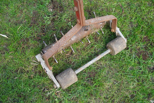 Grzyby na trawniku – aeracja trawnika