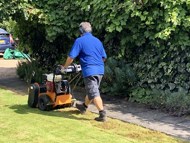Grzyby na trawniku – wertykulacja trawnika