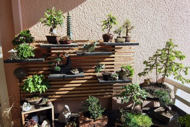 Iglaki na balkon i taras