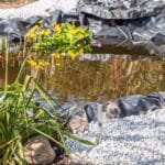 Małe oczko wodne z folii - budowa krok po kroku Oczko wodne - budowa