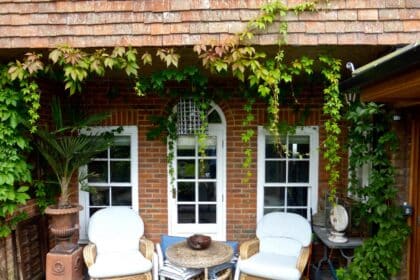 Rośliny na taras i balkon atrakcyjne cały rok