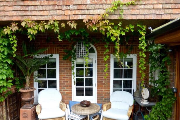 Rośliny na taras i balkon atrakcyjne cały rok