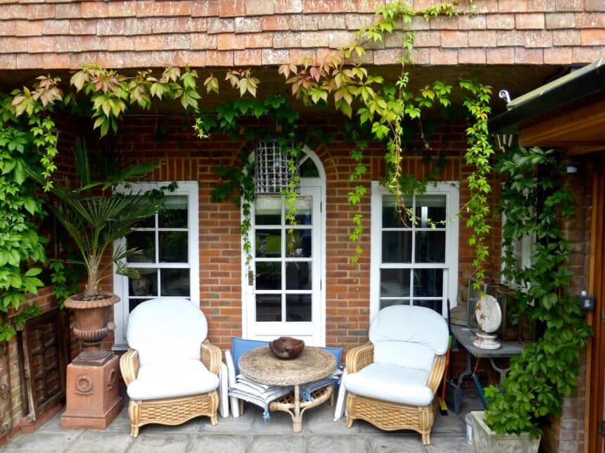 Rośliny na taras i balkon atrakcyjne cały rok