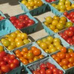 Właściwości pomidorów