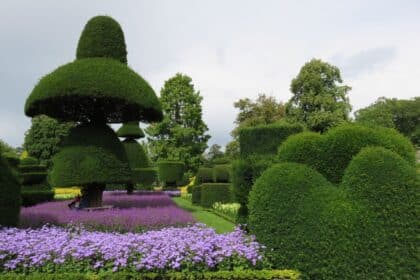Topiary