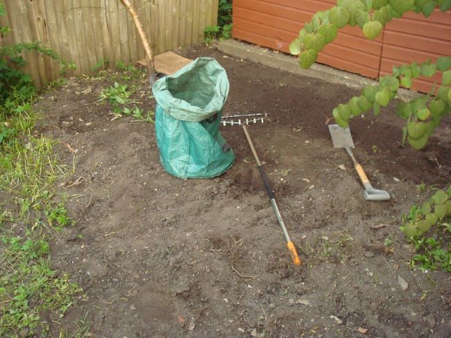 Trawnik z rolki – przygotowanie podłoża