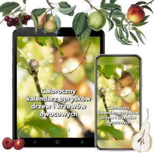 Całoroczny kalendarz oprysków drzew i krzewów owocowych