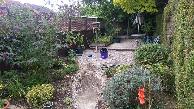 Rośliny do małego ogrodu Rośliny do małego ogrodu