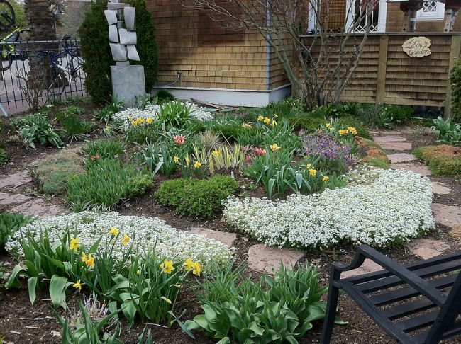Rośliny do małego ogrodu Rośliny do małego ogrodu