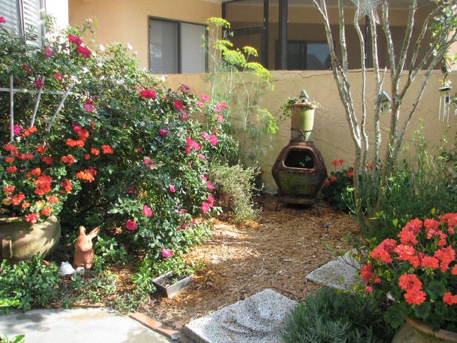 Rośliny do małego ogrodu Rośliny do małego ogrodu