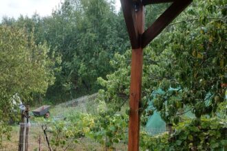 Z życia kiepskiej ogrodniczki cz. XXVI – DESZCZ!!! W końcu pada