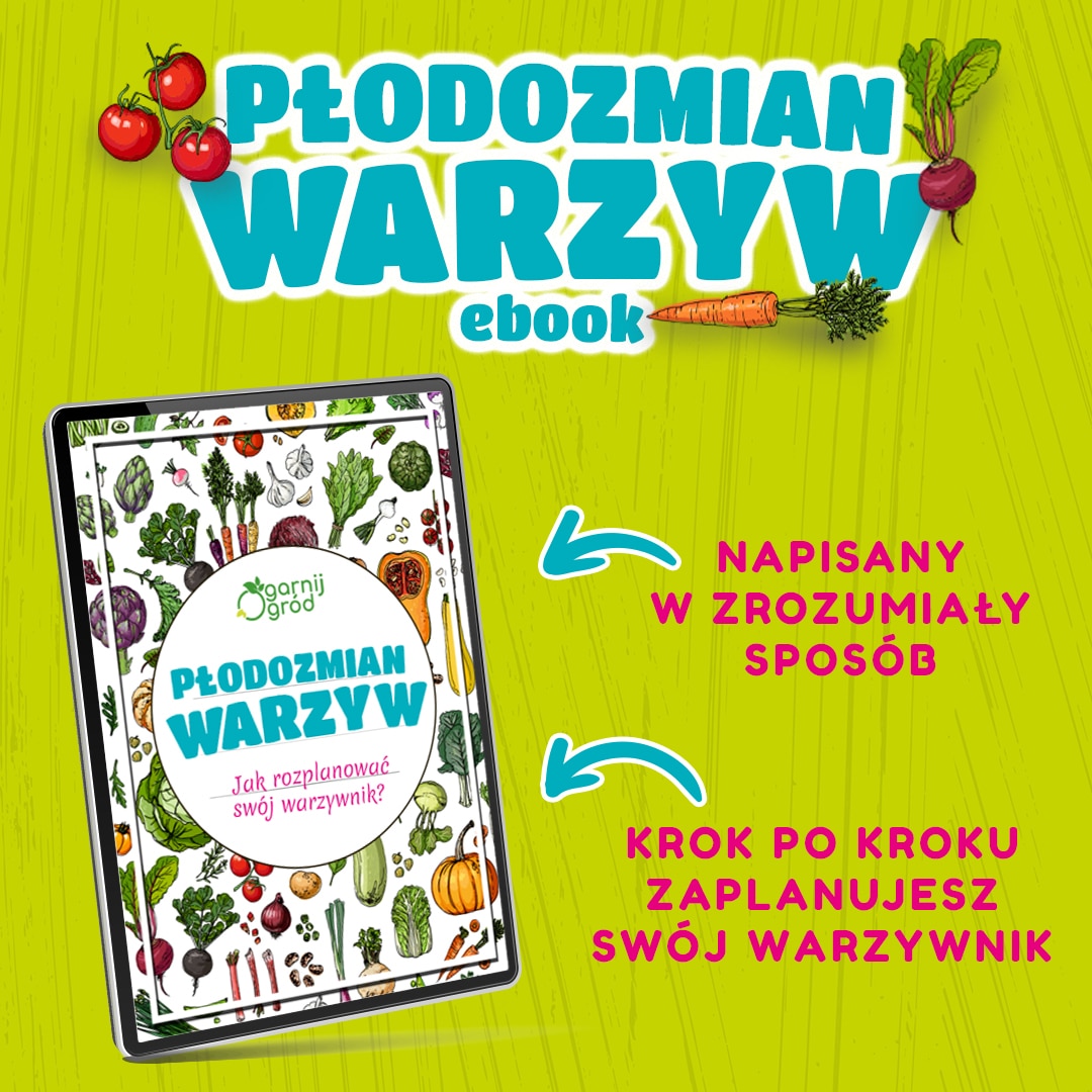 Płodozmian warzyw czyli jak rozplanować swój warzywnik - e-book