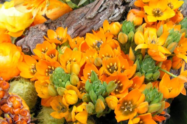 Śniedek wątpliwy
