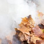 Jesienne liście w ogrodzie, w tle duży dym