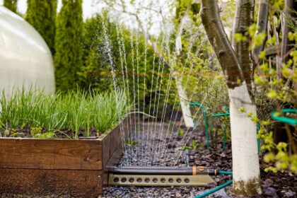 Jak wybrać i zainstalować system nawadniania do ogrodu