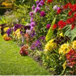 Jakie kwiaty ogrodowe wybrać na każdą porę roku