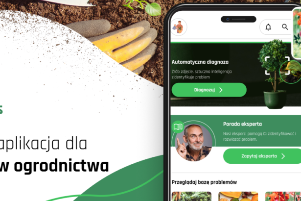 Aplikacja do rozpoznawania roślin Plantis