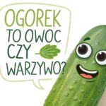 Ogórek to owoc czy warzywo
