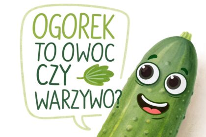 Ogórek to owoc czy warzywo