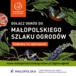 Małopolski Szlak Ogrodów rozkwita na całego – nabór nowych ogrodów