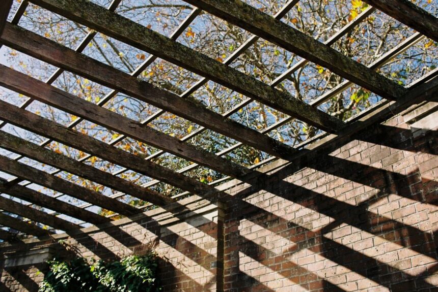 Pergola na taras – jakie rozwiązanie wybrać do nowoczesnego domu?