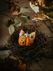 Dynia na Halloween – pomysły, inspiracje i kolorowanki do druku