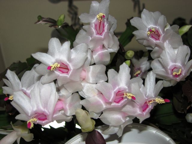 Kor!An (Андрей Корзун) - Own work, CC BY-SA 3.0, https://commons.wikimedia.org